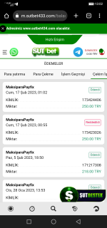 Screenshot_20230217-130229.png