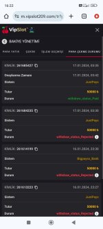 Screenshot_2024-01-17-16-22-29-557_com.android.chrome.jpg