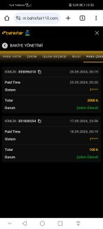 Screenshot_20240925_125336_com.android.chrome.jpg
