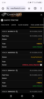 Screenshot_20241009-224842.png