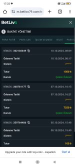 Screenshot_2024-10-10-17-22-53-244_com.android.chrome.jpg