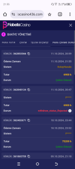 Screenshot_20241011-215543.png