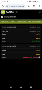 Screenshot_20241013-130126.png