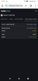 Screenshot_20241018-145159.png