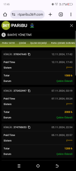 Screenshot_20241112-174540.png