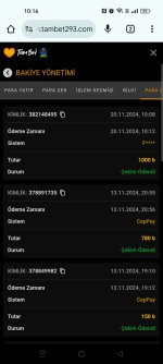 Screenshot_2024-11-20-10-16-52-43_40deb401b9ffe8e1df2f1cc5ba480b12.jpg