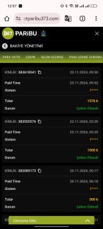 Screenshot_2024-11-23-12-57-14-13_40deb401b9ffe8e1df2f1cc5ba480b12.jpg