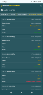 Screenshot_20241125-124127.png