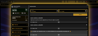 Ekran görüntüsü 2024-11-27 141723.png