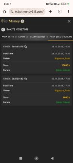 Screenshot_2024-11-29-04-08-34-992_com.android.chrome.jpg