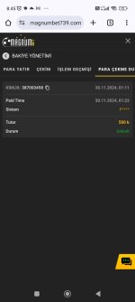 Screenshot_2024-11-30-08-45-55-949_com.android.chrome.jpg