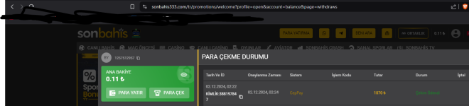 1733095995893.png