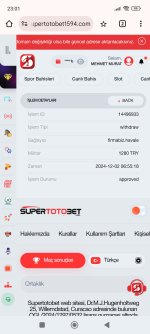 Screenshot_2024-12-02-23-01-48-559_com.android.chrome.jpg