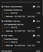 Ekran görüntüsü 2024-12-04 172554.png