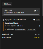Ekran görüntüsü 2024-12-04 183604.png