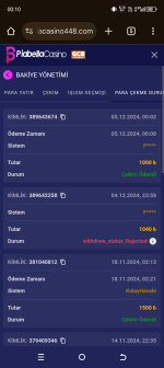 Screenshot_20241205-001024.png