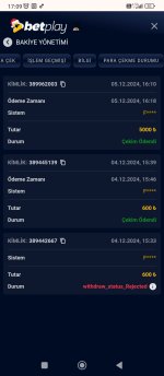 Screenshot_2024-12-05-17-09-06-732_com.android.chrome.jpg