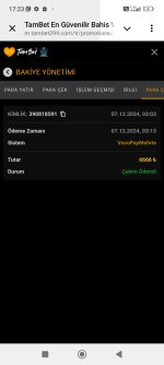 Screenshot_2024-12-07-17-23-53-713_org.telegram.messenger.jpg