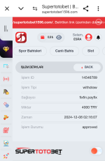 Screenshot_20241208-142209~2.png