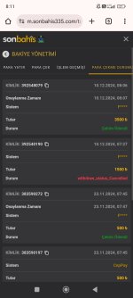 Screenshot_2024-12-10-08-11-00-305_com.android.chrome.jpg