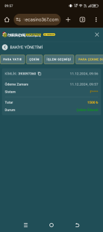 Screenshot_20241211-095740.png