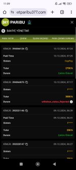 Screenshot_2024-12-13-11-09-14-488_com.android.chrome.jpg