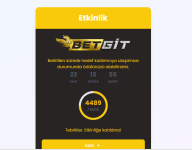 Ekran görüntüsü 2024-12-16 001803.png
