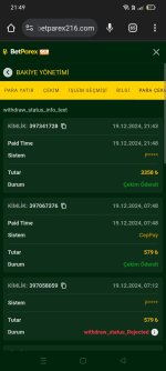 Screenshot_2024-12-19-21-49-08-23_40deb401b9ffe8e1df2f1cc5ba480b12.jpg
