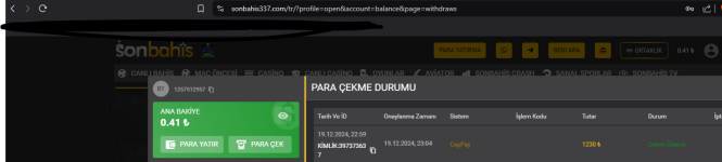 1734652241382.png