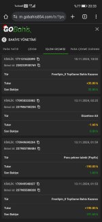 Screenshot_20241222_203347_com.android.chrome.jpg