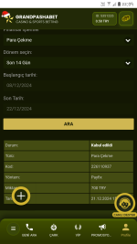 Screenshot_20241222-220948.png