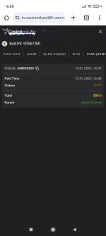 Screenshot_2025-01-13-16-08-28-374_com.android.chrome.jpg