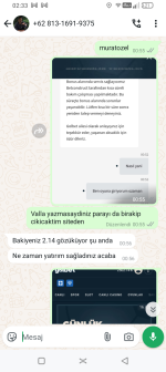 Screenshot_20250205-023328.png