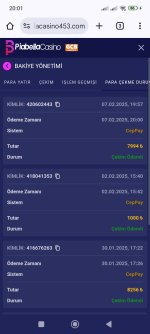 Screenshot_2025-02-07-20-01-45-055_com.android.chrome.jpg
