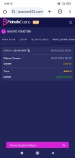 Screenshot_2025-02-10-00-48-52-344_com.android.chrome.jpg