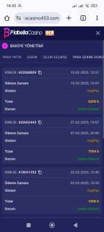 Screenshot_2025-02-10-18-45-52-359_com.android.chrome.jpg
