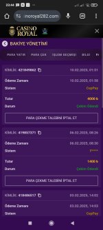 Screenshot_2025-02-10-23-44-26-724_com.android.chrome.jpg