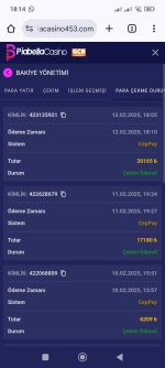 Screenshot_2025-02-12-18-14-54-336_com.android.chrome.jpg