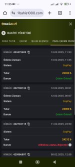 Screenshot_2025-02-13-11-35-18-298_com.android.chrome.jpg