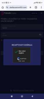 Screenshot_2025-02-13-16-57-00-622_com.android.chrome.jpg