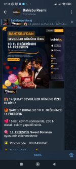 Screenshot_2025-02-14-17-15-35-131_org.telegram.messenger.jpg