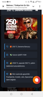 Screenshot_20250310-180327.png