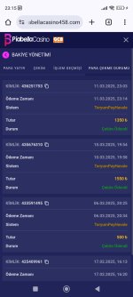 Screenshot_2025-03-11-23-15-04-426_com.android.chrome.jpg