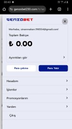 Screenshot_20250312-004301_Chrome.jpg