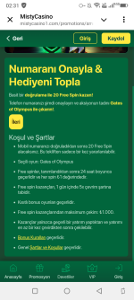 Screenshot_20250312-023154.png