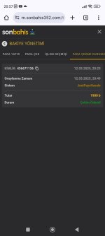 Screenshot_2025-03-12-20-57-48-139_com.android.chrome.jpg