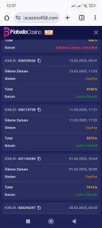 Screenshot_2025-03-13-12-37-24-481_com.android.chrome.jpg