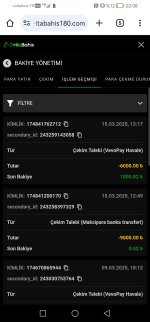 Screenshot_20250316_020813_com.android.chrome.jpg