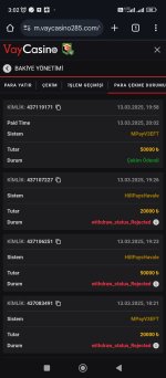 Screenshot_2025-03-16-03-02-09-266_com.android.chrome.jpg