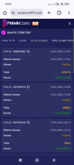 Screenshot_2025-03-18-19-07-50-600_com.android.chrome.jpg